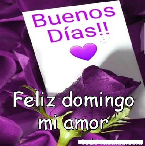 feliz domingo mi amor gif|More.